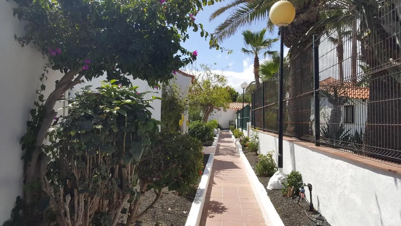 Apartment Ferienwohnung La Concha Del Mar Corralejo